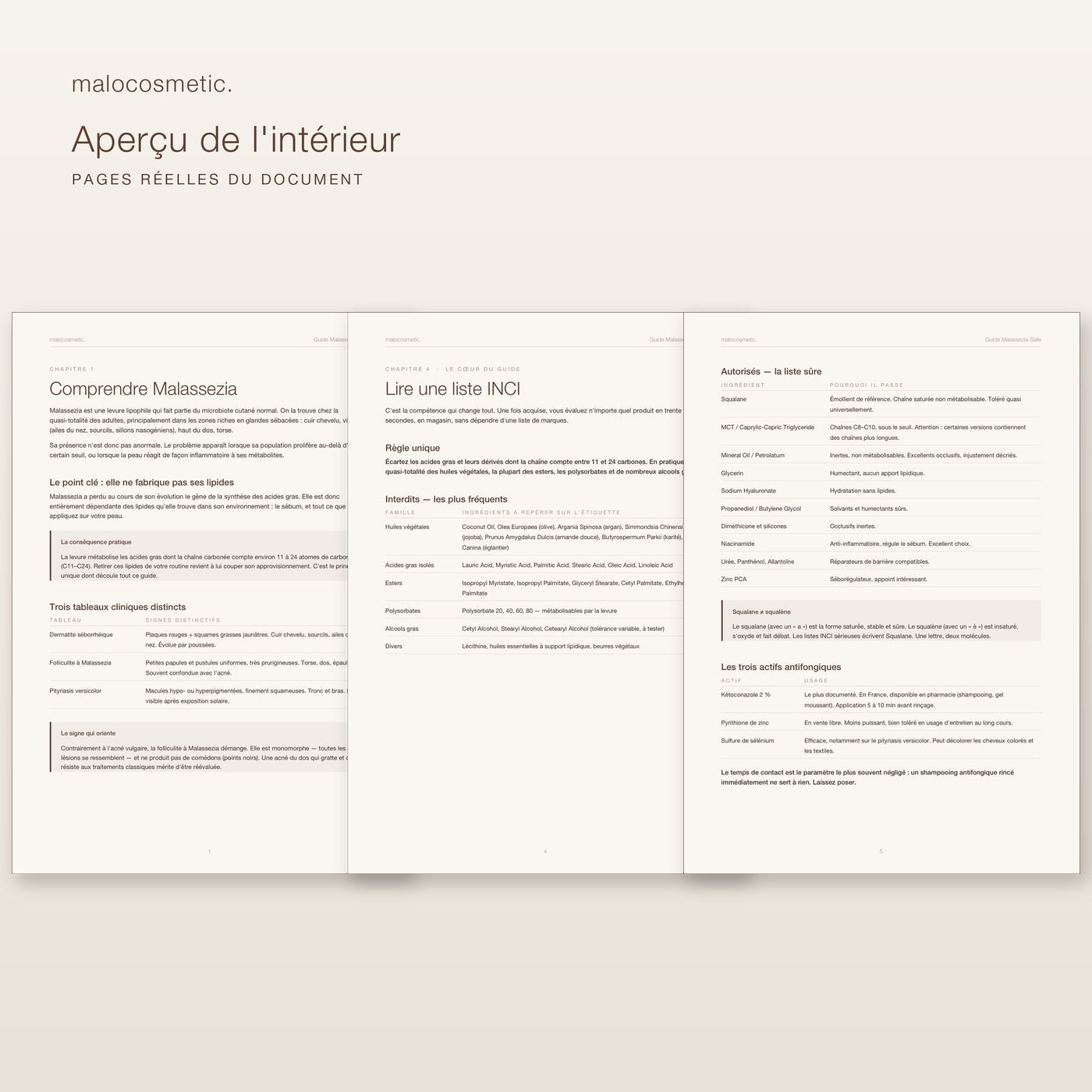 Aperçu de l'intérieur du guide - pages réelles