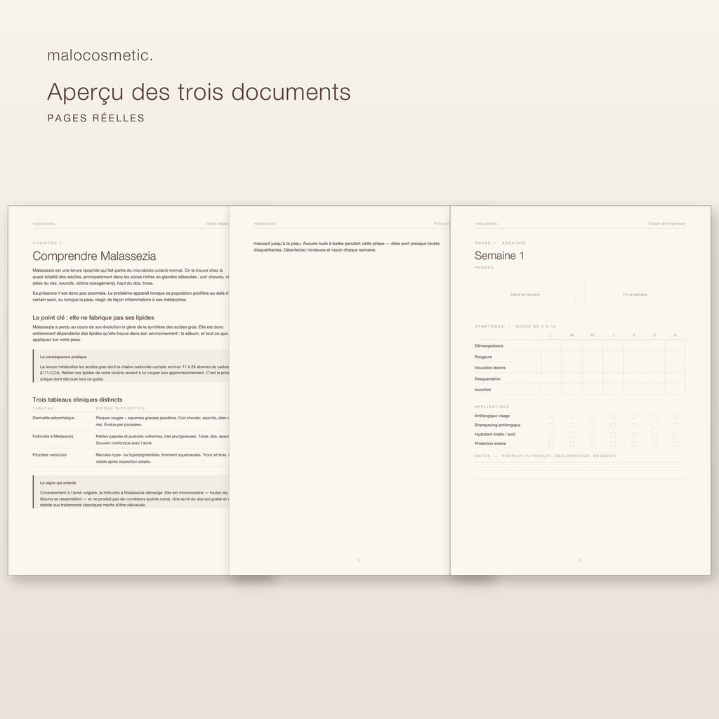 Aperçu des trois documents - pages réelles