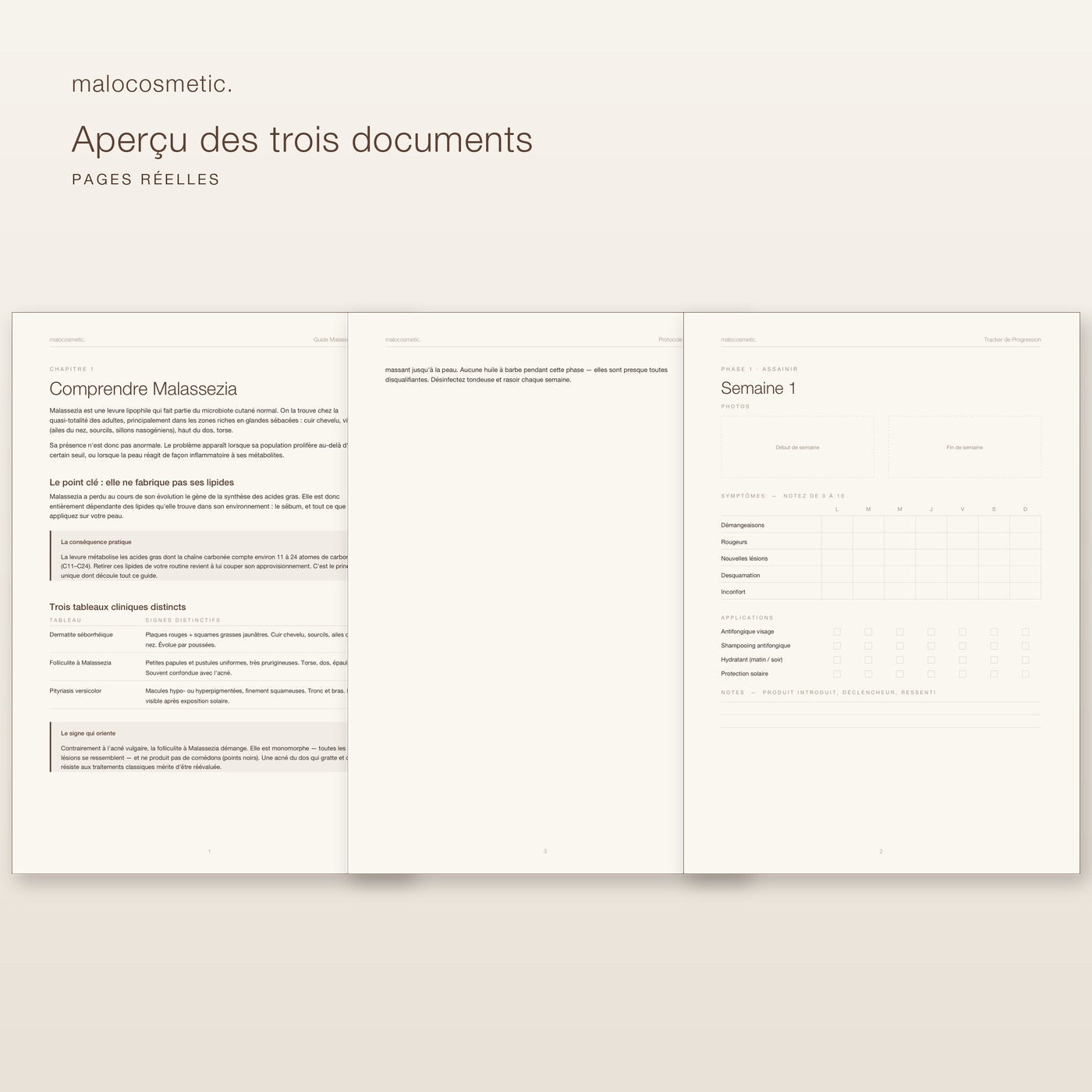 Aperçu des trois documents - pages réelles