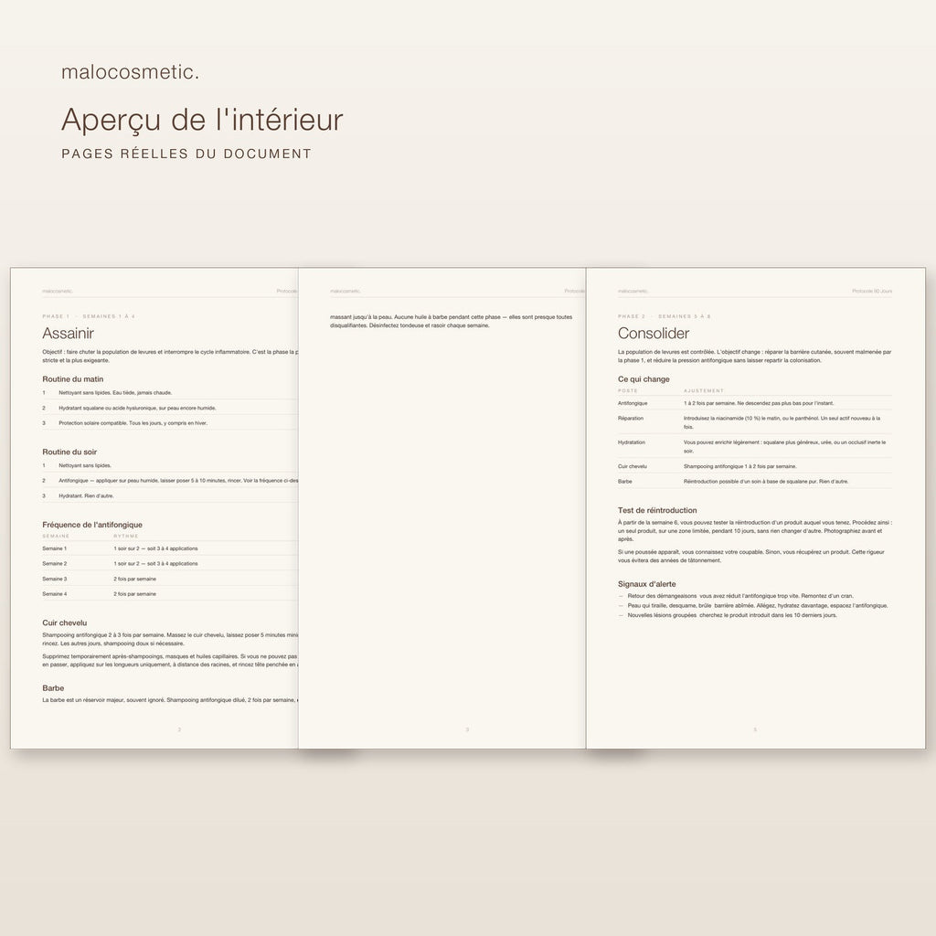 Aperçu de l'intérieur du protocole - pages réelles