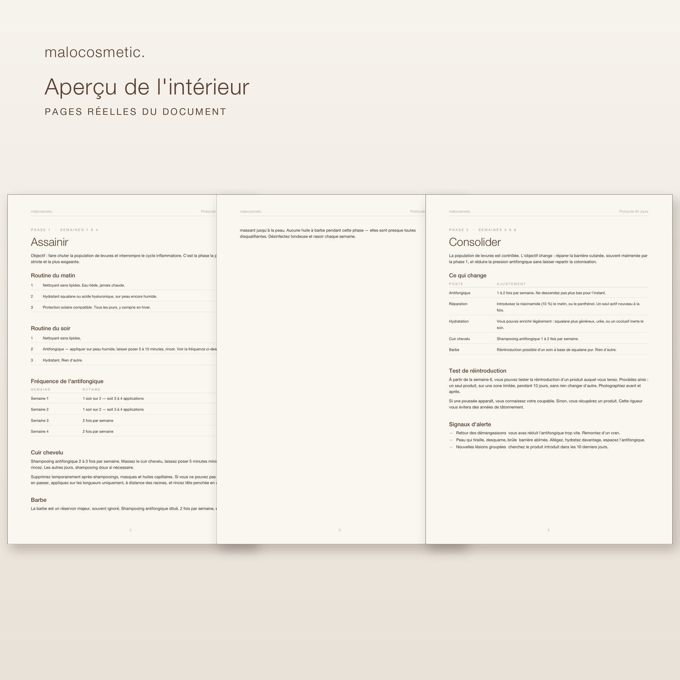 Aperçu de l'intérieur du protocole - pages réelles