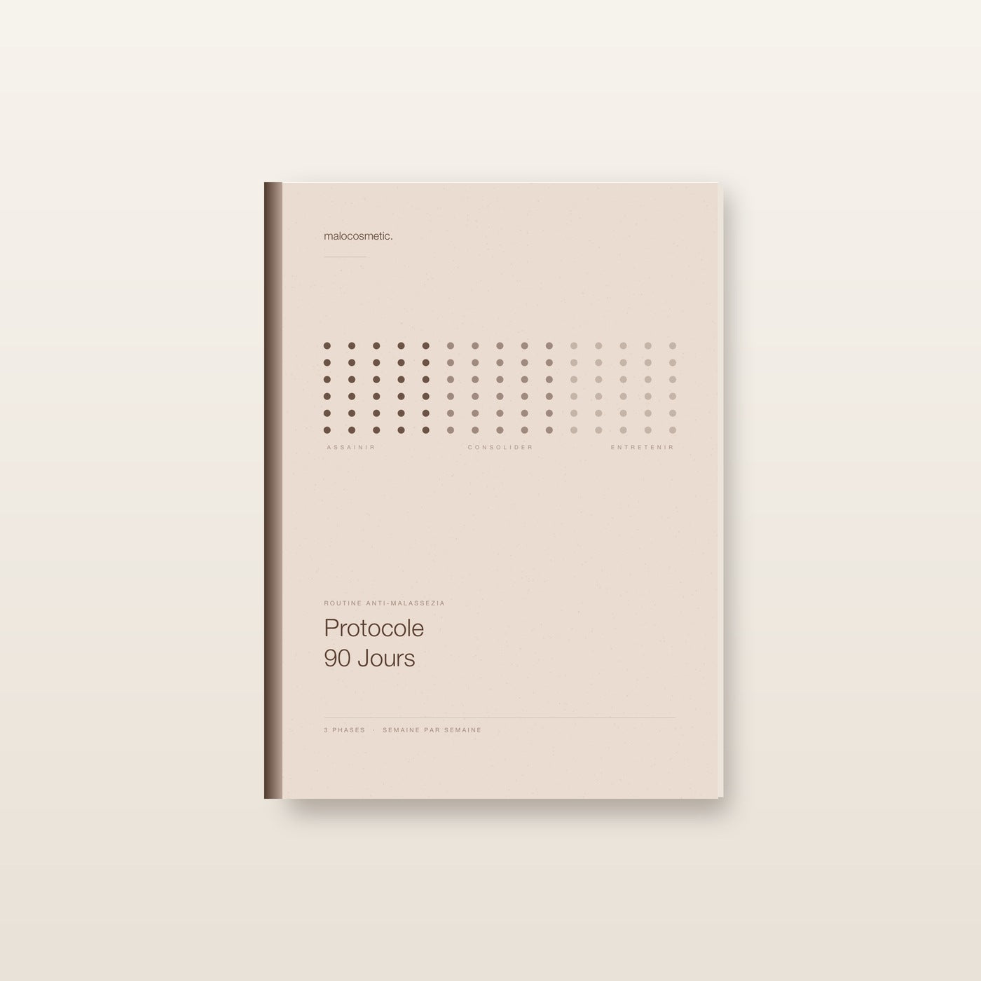 Protocole 90 Jours - couverture